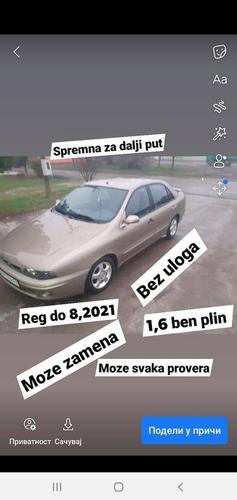 Mareja