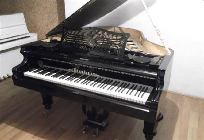 Bosendorfer Hitnoooo Pogledaj video