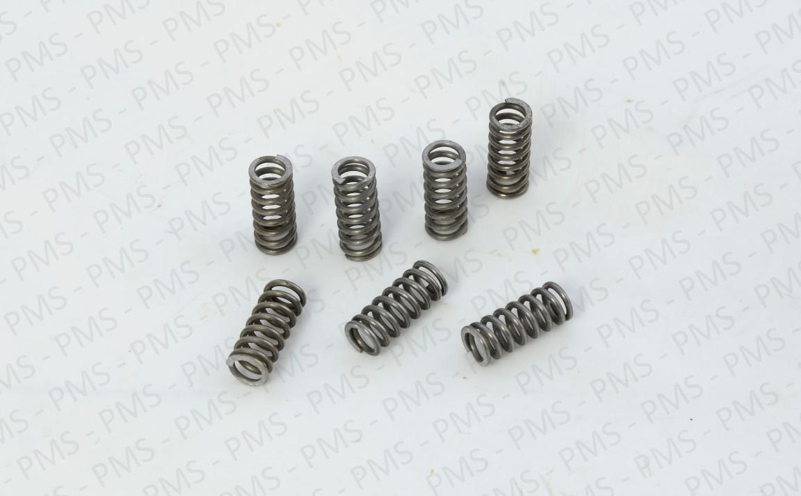 Carraro-Spring-Types--Oem-Parts