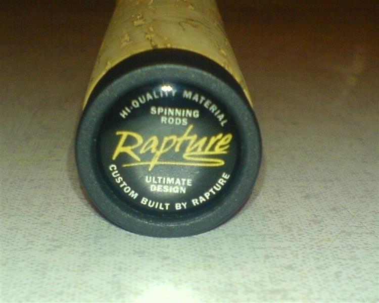 Rapture-intruder