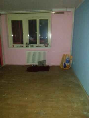 Stan 42m2 Batajnica