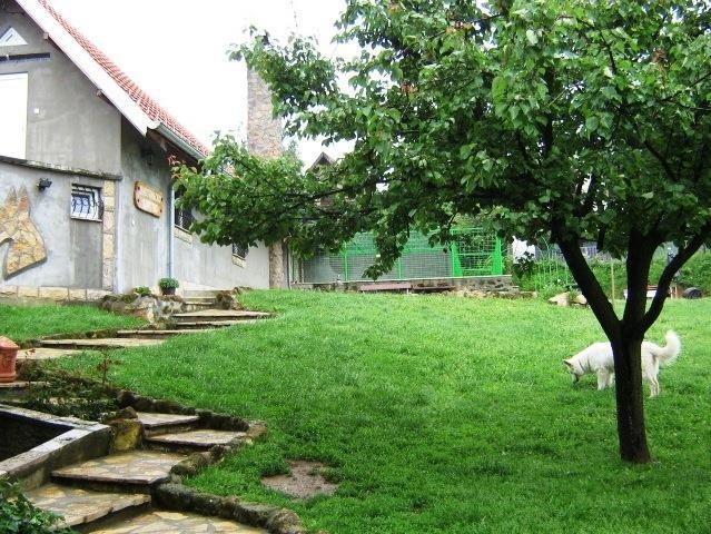 Pansion za pse i mačke