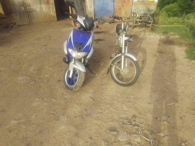 Motori