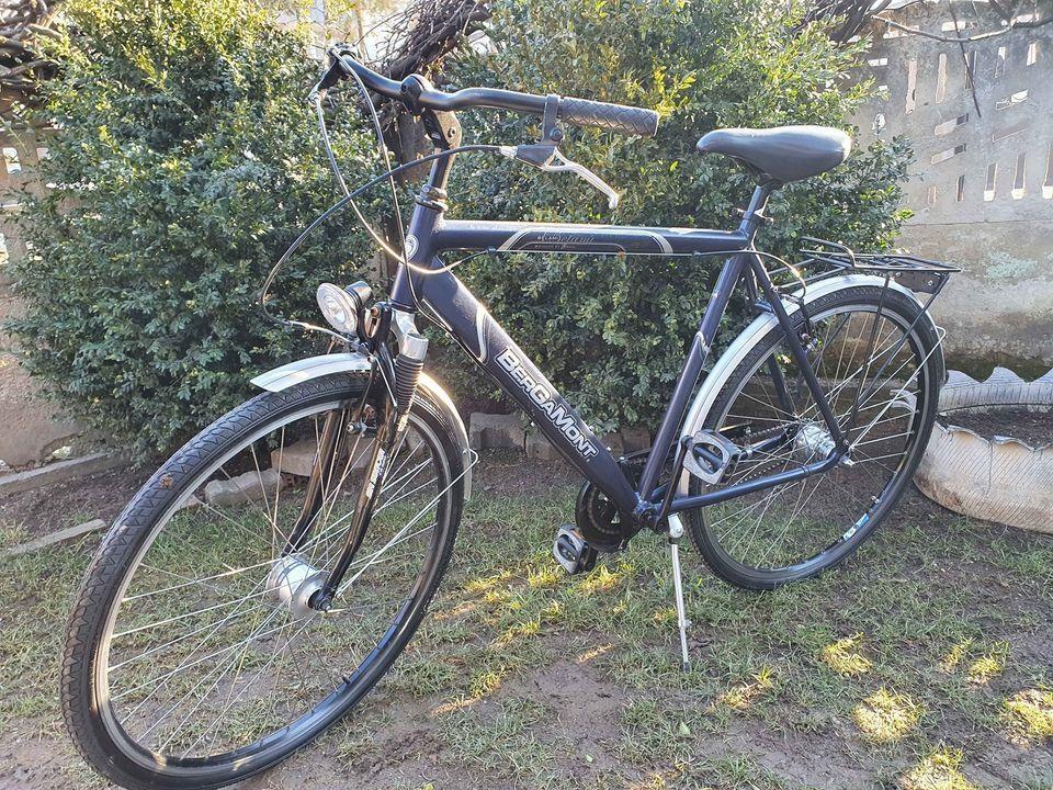 Bergamont