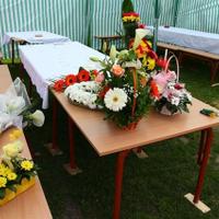 Sklaplab Mladenovac