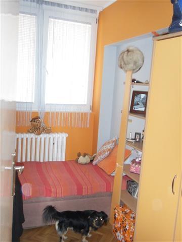 LUX-CENTAR