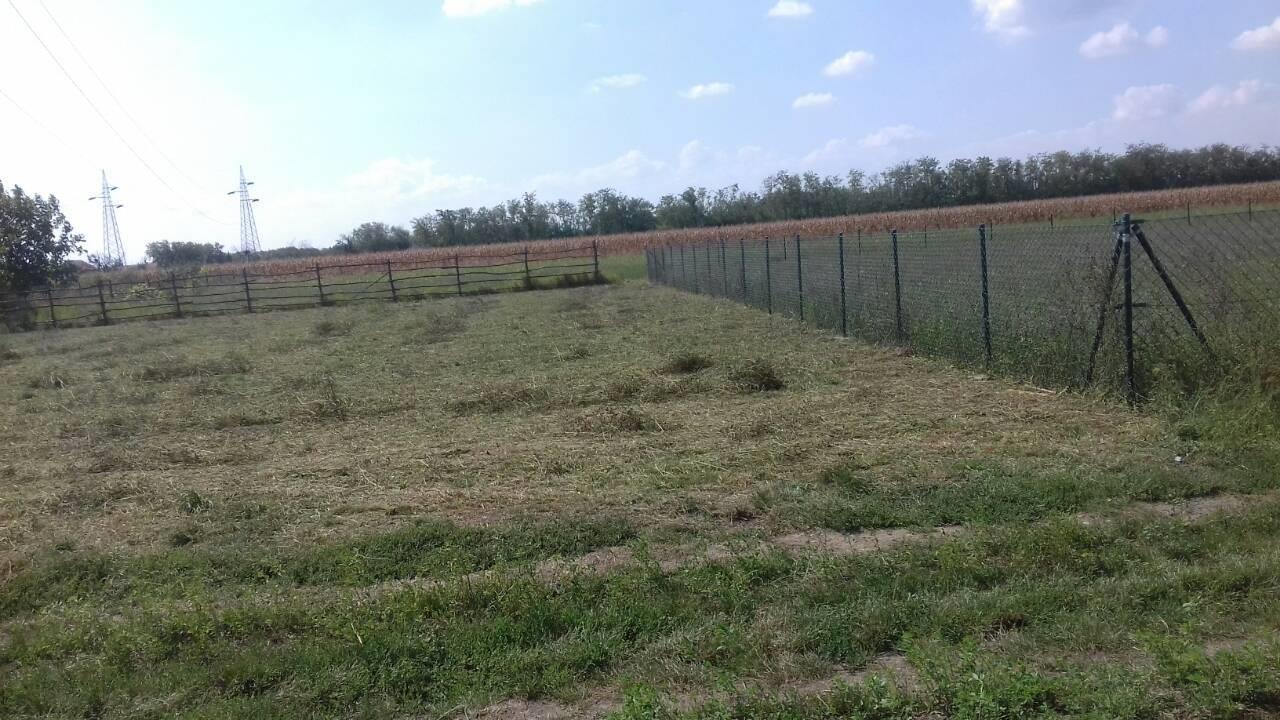 Plac-u-Pancevu
