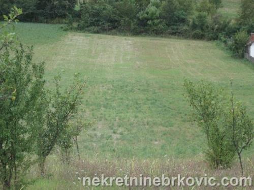 Plac u Koricanima 7500m2
