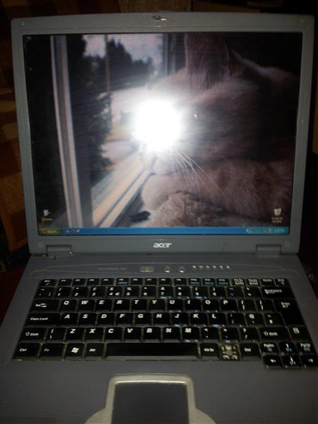 Acer
