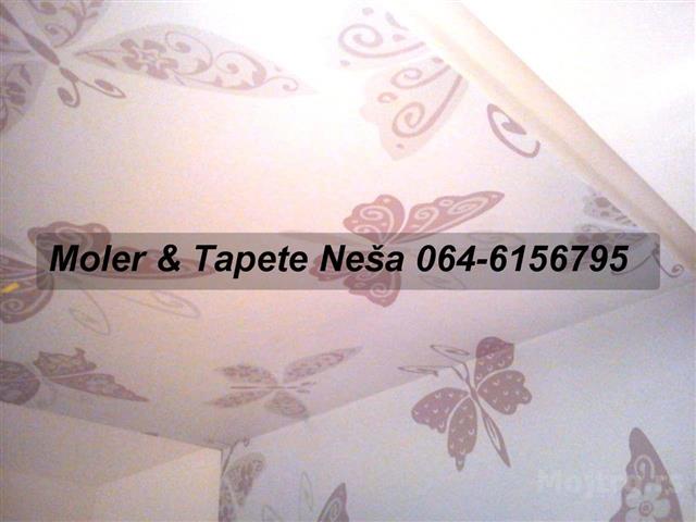 Molerski Radovi I Lepljenje Tapeta Beograd