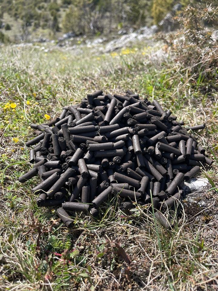 pellet-od-uglja