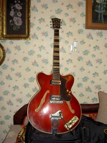Gitara elektricna