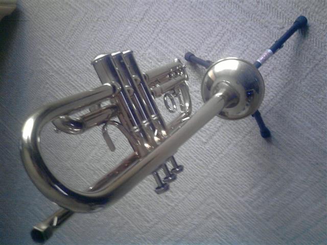 Truba