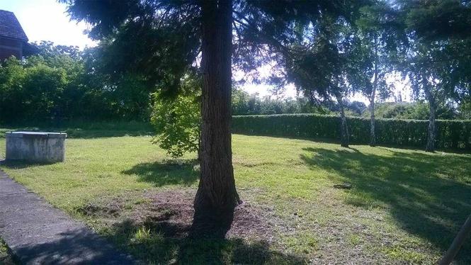 PRODAJEM KUCU SA PRELEPIM PLACEM.