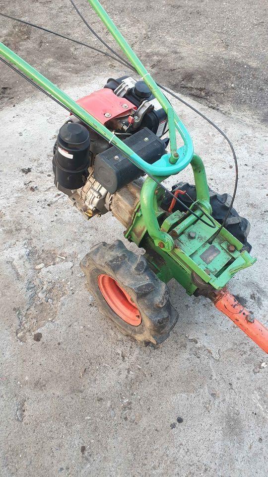 Imt-407