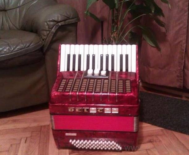Harmonika Delicia junior
