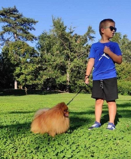 POMERANAC--prelepi-štenci