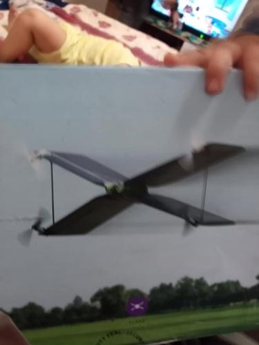 Parrot swing dron