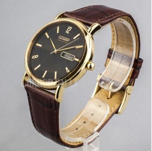 Citizen Eco Drive