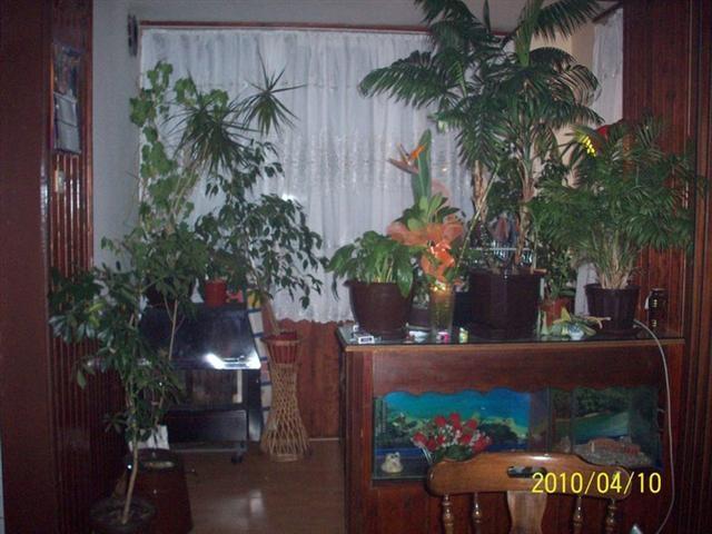 APARTMAN-U-OHRID-80m2