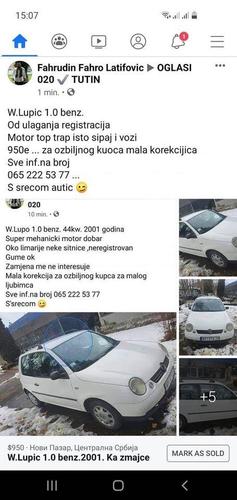 W.lupo