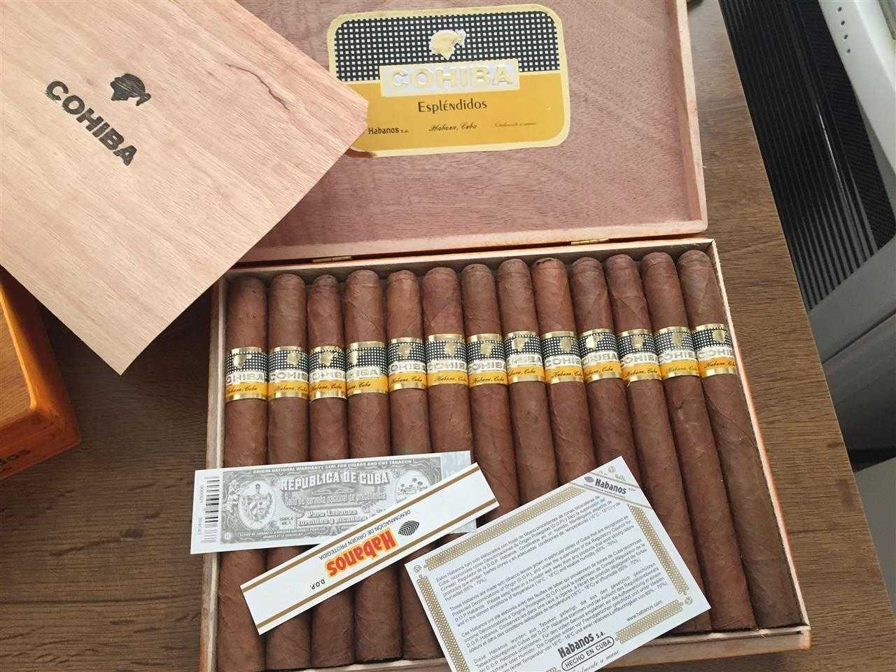 Cohiba-Esplendidos-Robustos