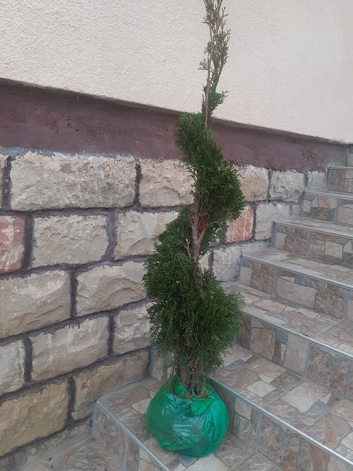 Uksavanje-dvorista