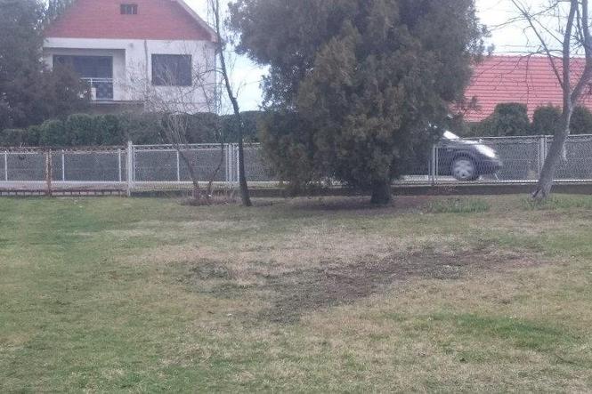Domacinstvo u Stepojevcu