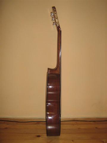 Nova-akusticna-gitara-takamine-G124-HITNO