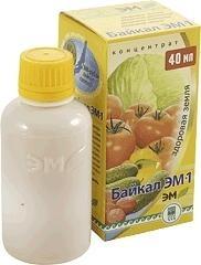 Bajkal EM-1