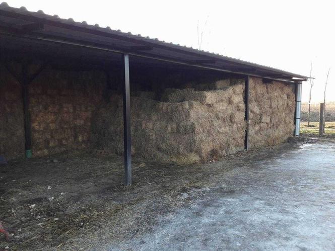 Prodajem baliranu detelinu lucerku