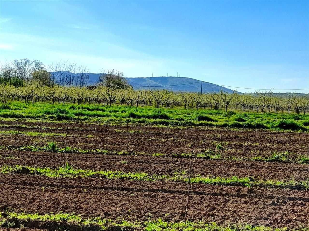 Prodaja-placa-Kosmaj