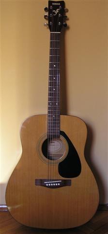 Yamaha F310
