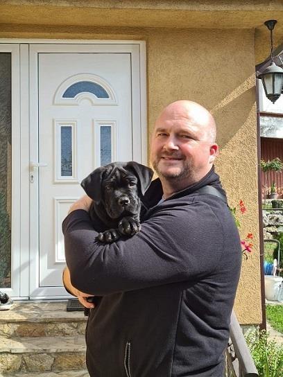 Cane-corso-štenci