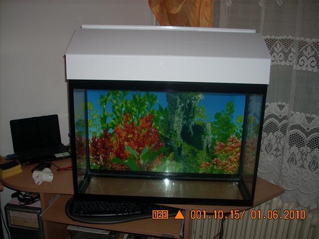Akvarijum