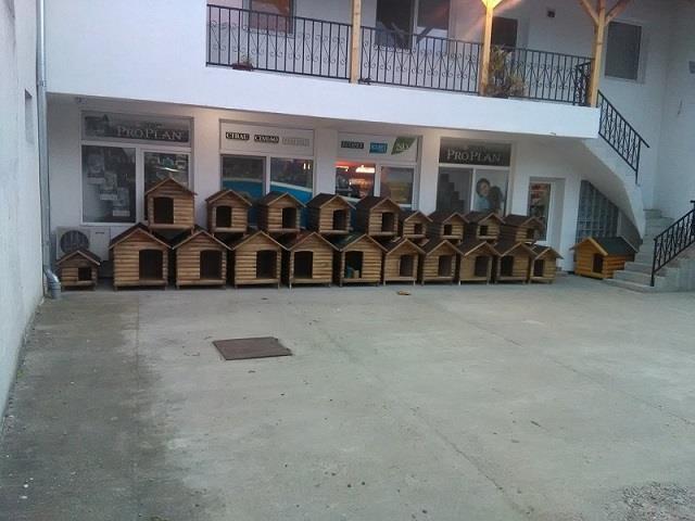 Kucice-za-pse