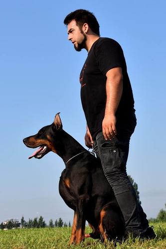 DOBERMAN