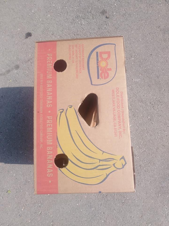Kutije-od-banana