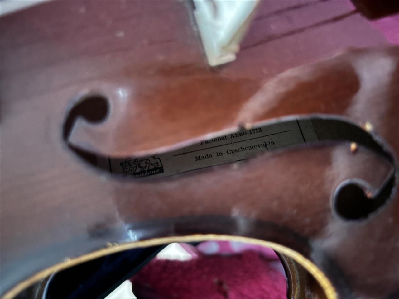 Violina