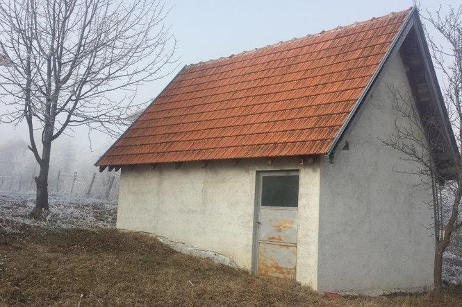 Imanje