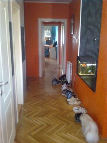 Troiposoban-stan-93m2--Somborski-bul-
