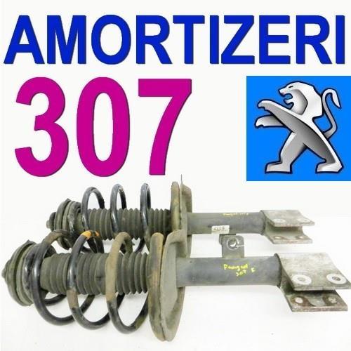 Amortizeri-307