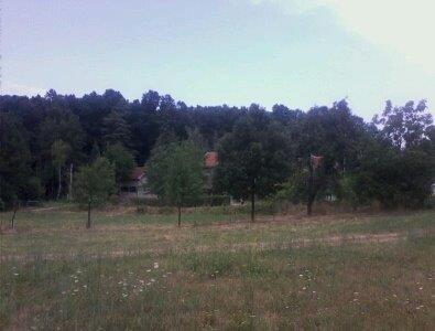 20-ari-paca-ispod-Avale