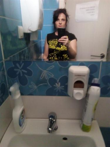 Ciscenje