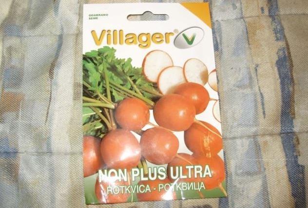 Villager seme rotkvice