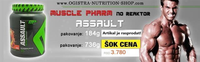 NO ASSAULT 