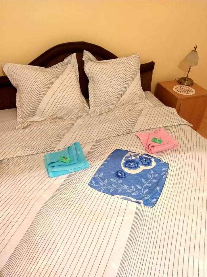 Apartmani-u-Sokobanji