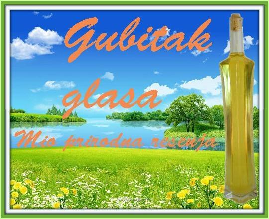 Gubitak-glasa