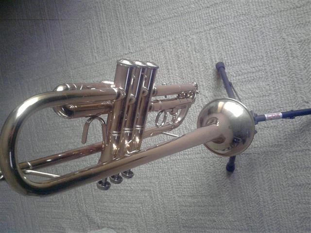 Truba