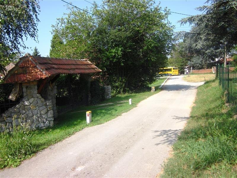 pinosava-14--Avala